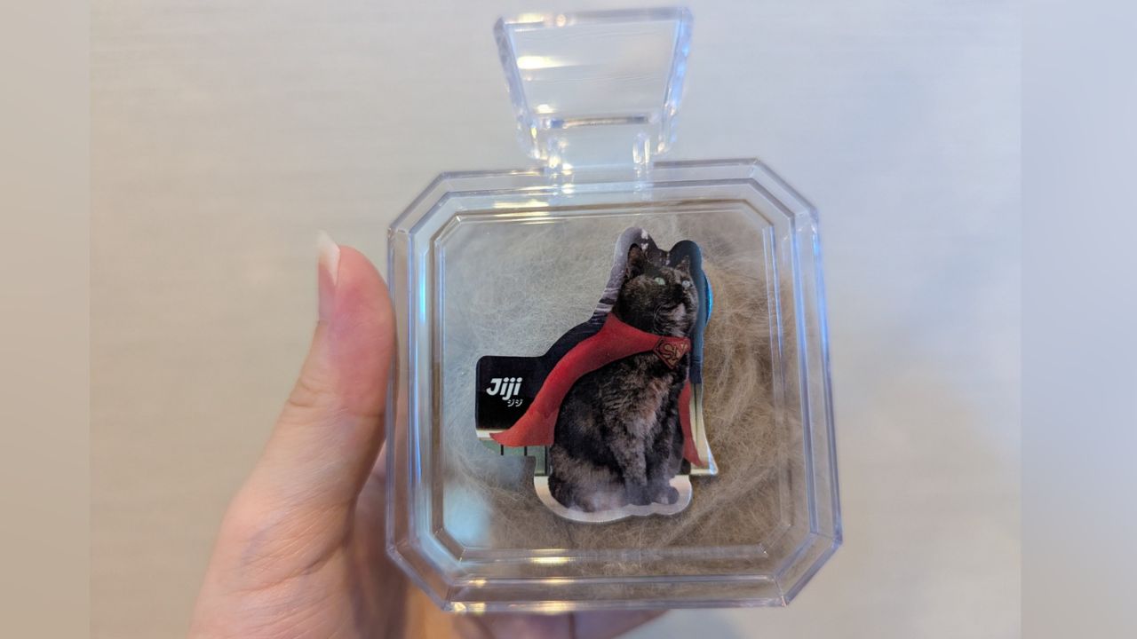 「被毛を少しちょうだいね」 “最期の後”にしてよかった「愛猫が生きていた証」の残し方