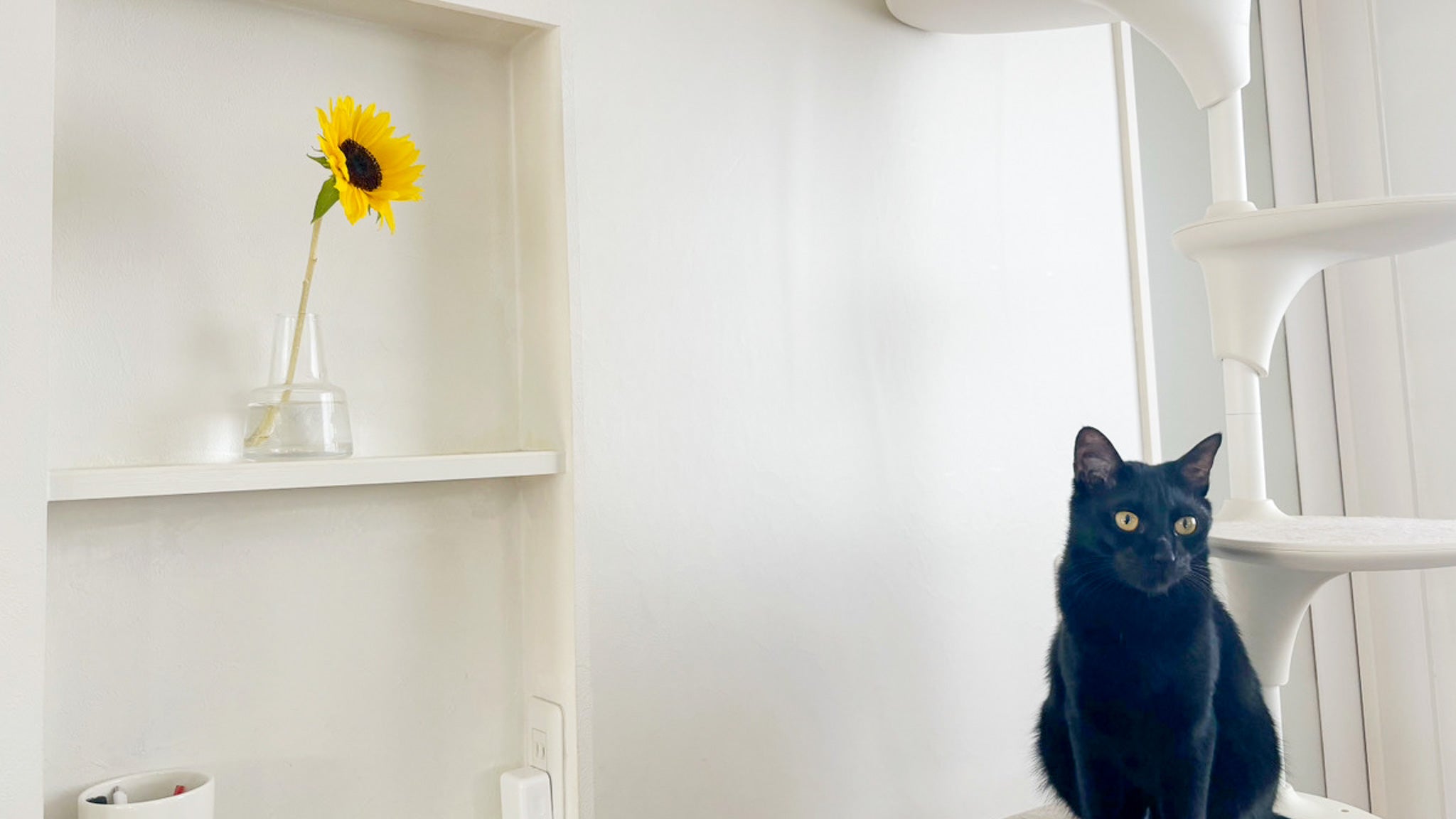 猫と花とミニマリストのいい関係の話。