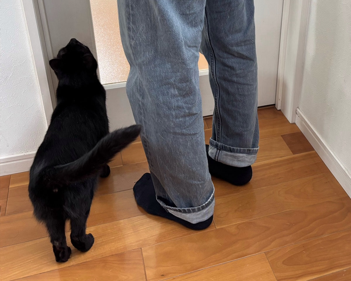 【猫も病むんかい】分離不安って知ってる?