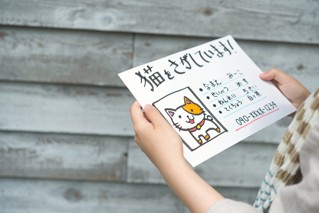 迷子 ページ 81Tx261MjeL.jpg