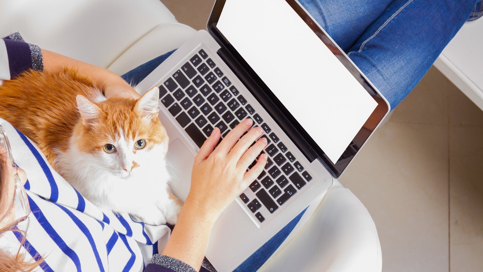 「ネコハラ」ってなに?被害者続出も愛らしすぎる理由とは?