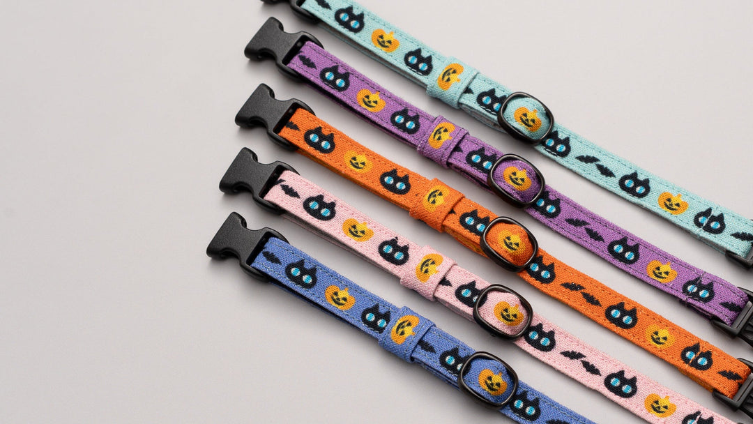 グラフィック猫首輪 黒猫のハロウィン