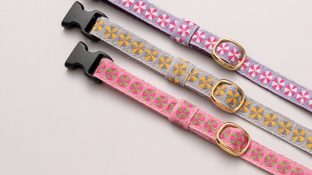 チロル猫首輪 Kafka バル