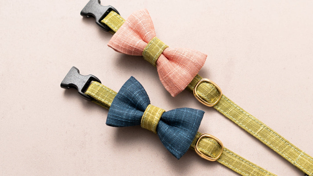 猫首輪 彩かすり