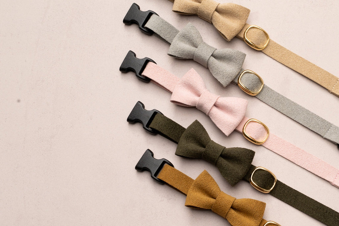 猫首輪 引っ掻きに強いスエード