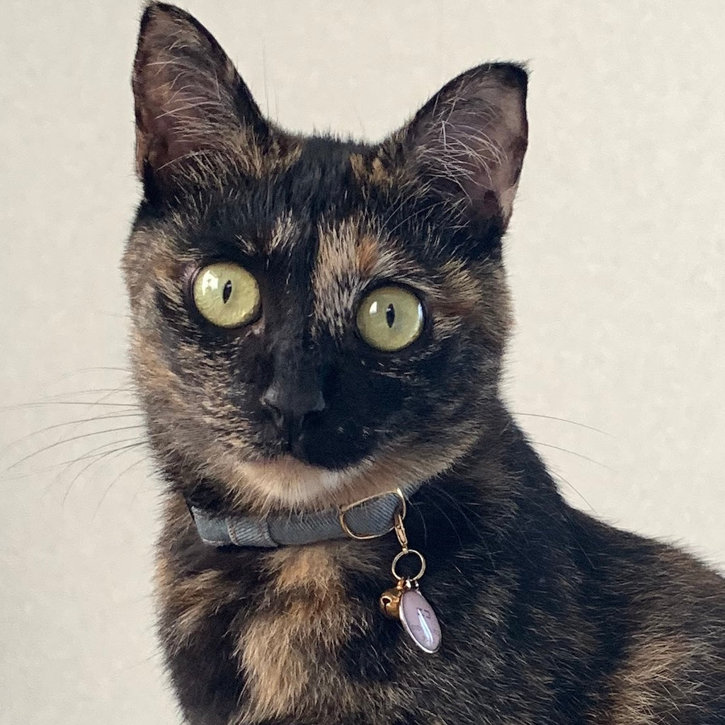 ニコちゃん