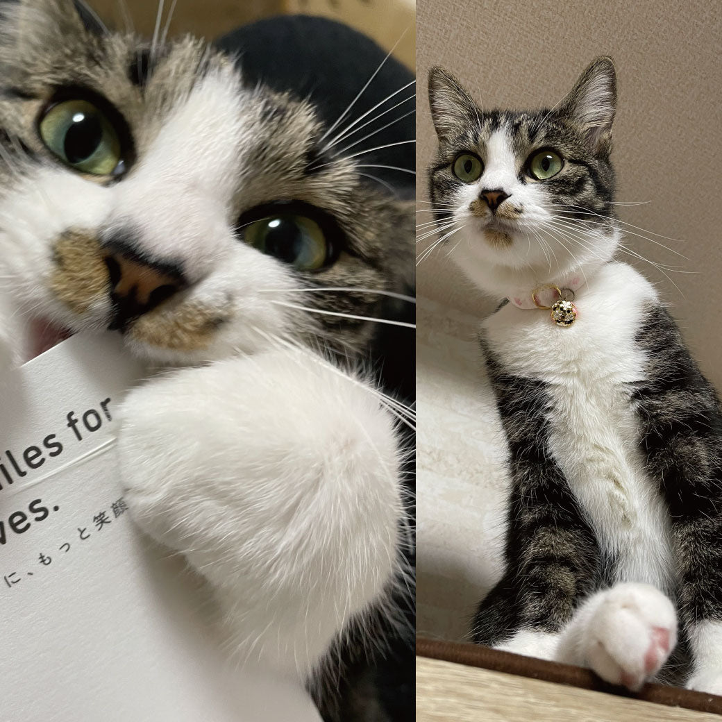あさりちゃん・ぶっちちゃん