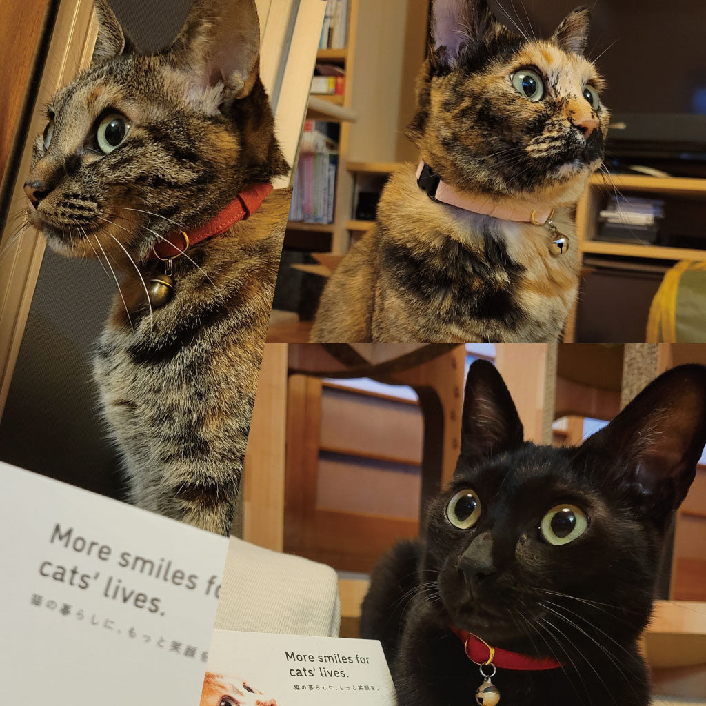 つなこちゃん・わさびちゃん・あんこちゃん