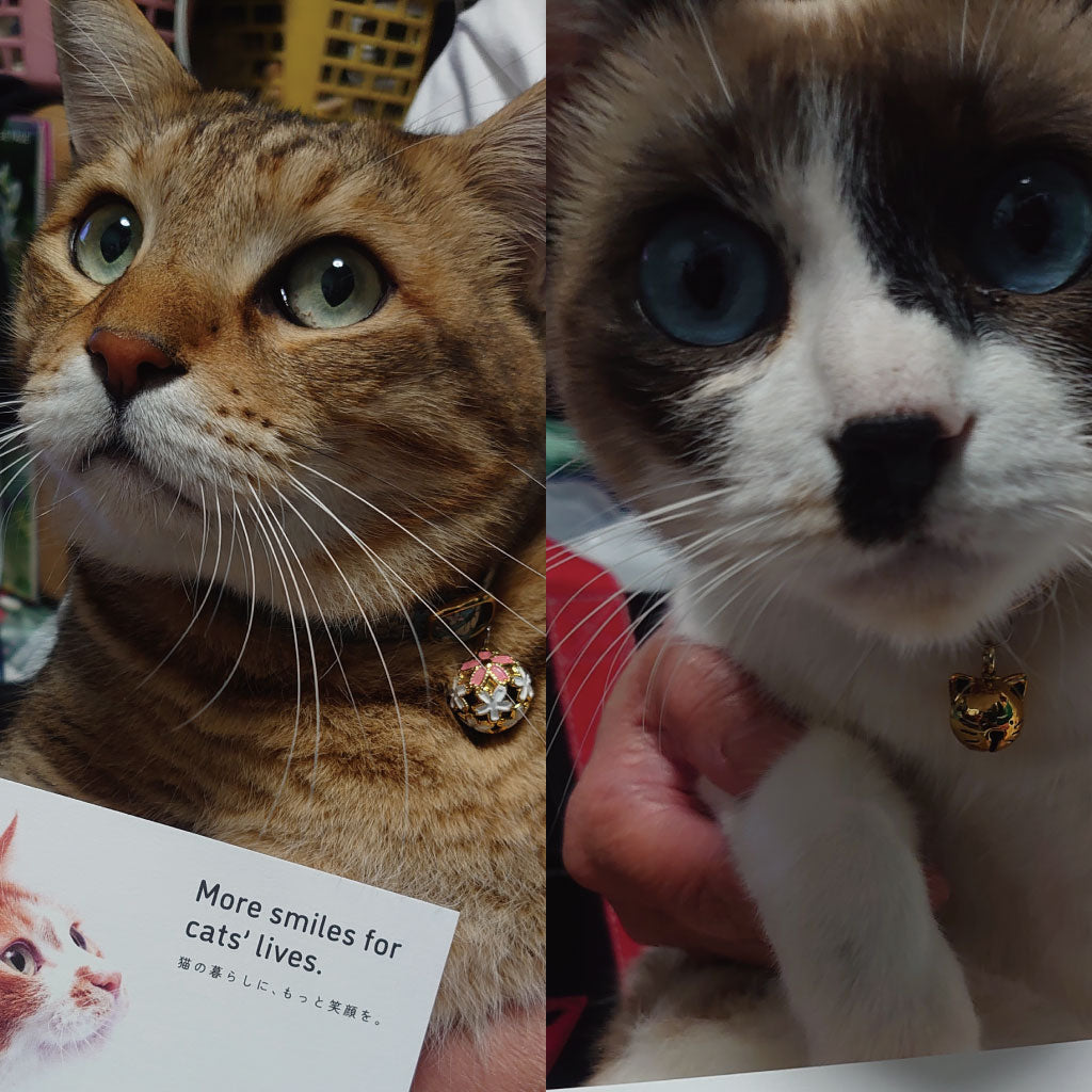 武蔵くん・ジュジュちゃん