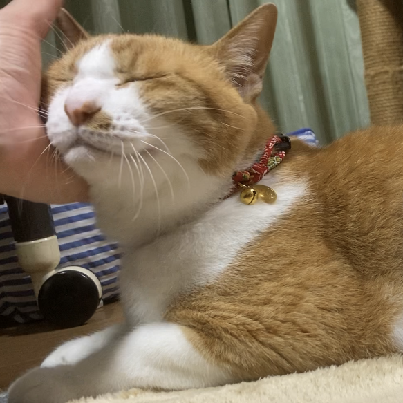 ろくくん
