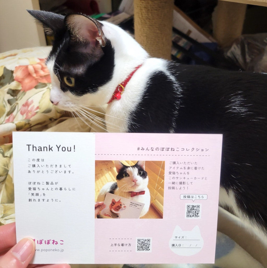 はちちゃん
