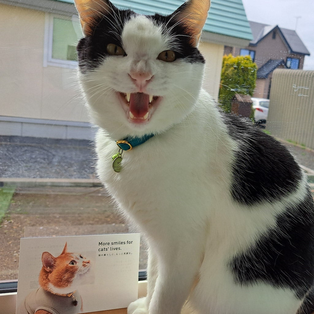 ツナちゃん
