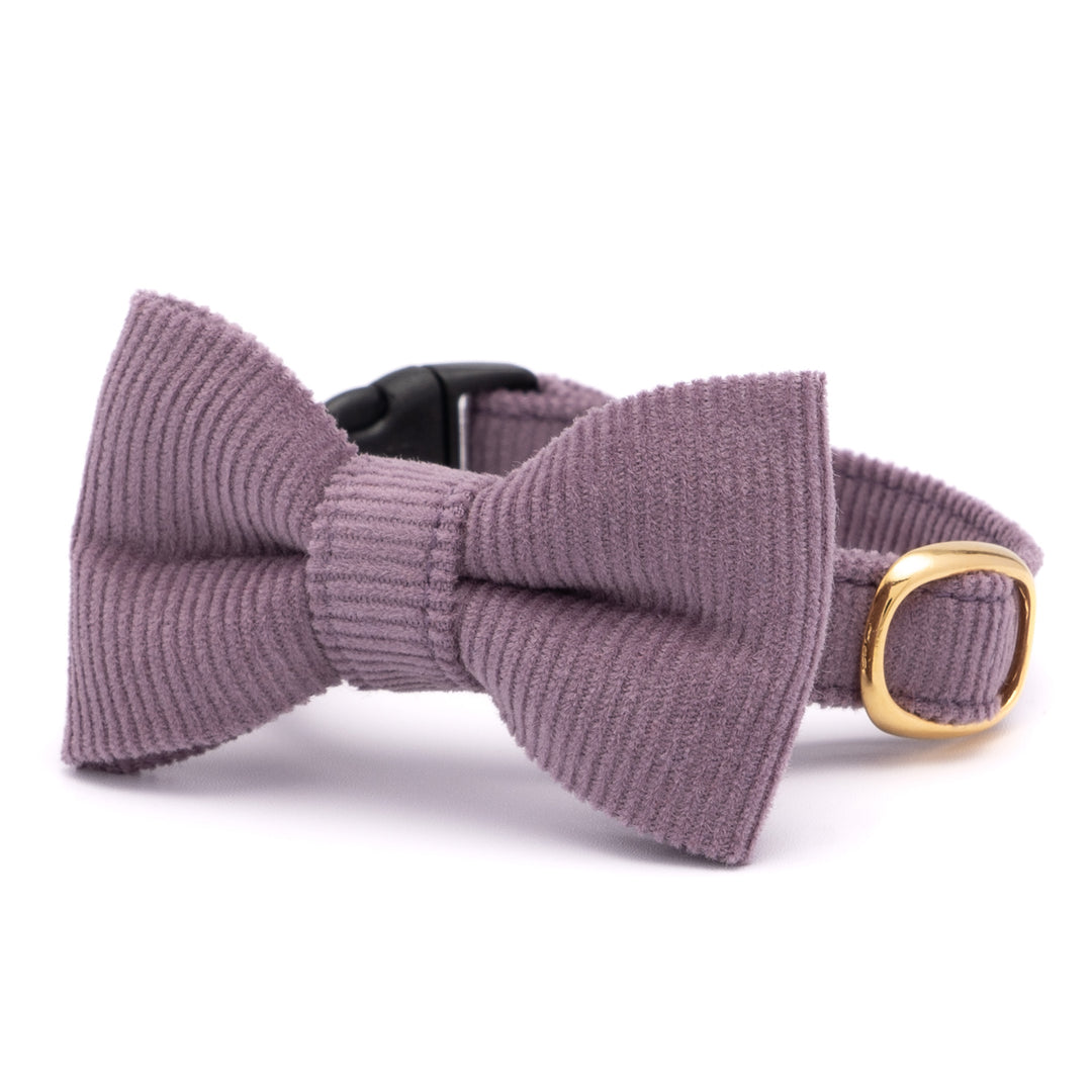 リボン付き猫首輪 コットンコーデュロイ パープル