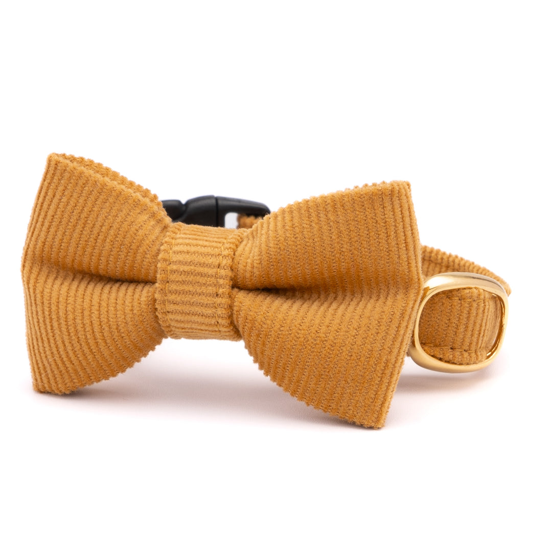 リボン付き猫首輪 コットンコーデュロイ イエロー