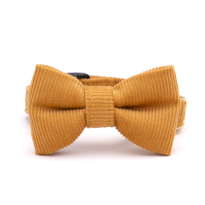 リボン付き猫首輪 コットンコーデュロイ イエロー