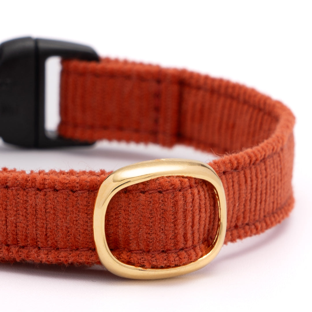猫首輪 コットンコーデュロイ オレンジ