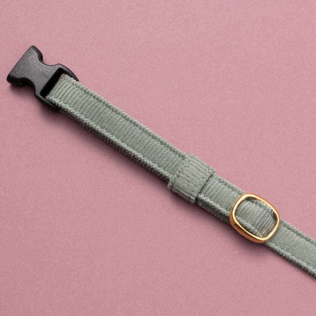 猫首輪 コットンコーデュロイ グリーン