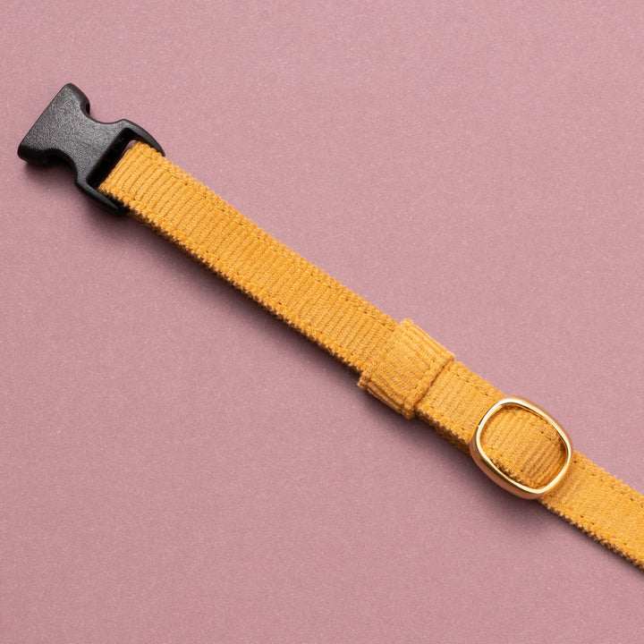 猫首輪 コットンコーデュロイ イエロー