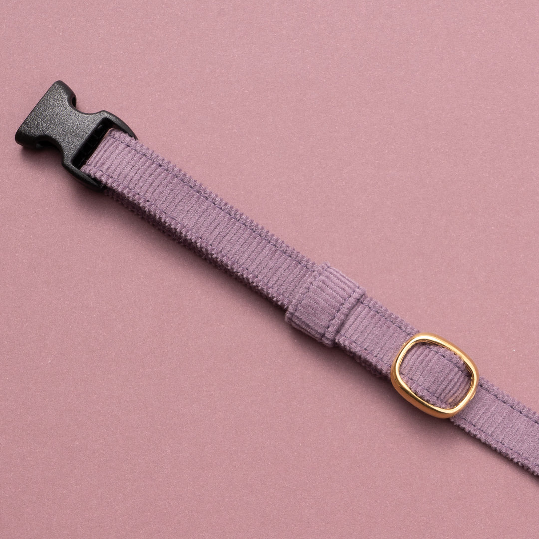 猫首輪 コットンコーデュロイ パープル