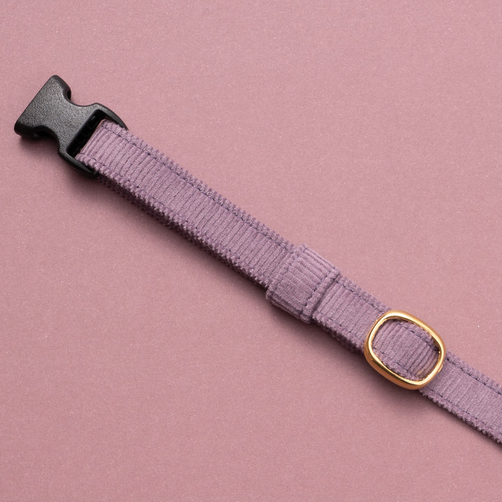 猫首輪 コットンコーデュロイ パープル