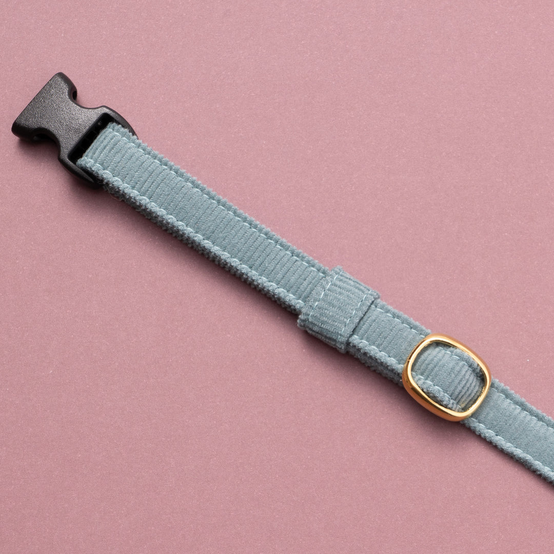 猫首輪 コットンコーデュロイ ブルーグリーン