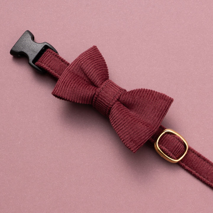 リボン付き猫首輪 コットンコーデュロイ ボルドー