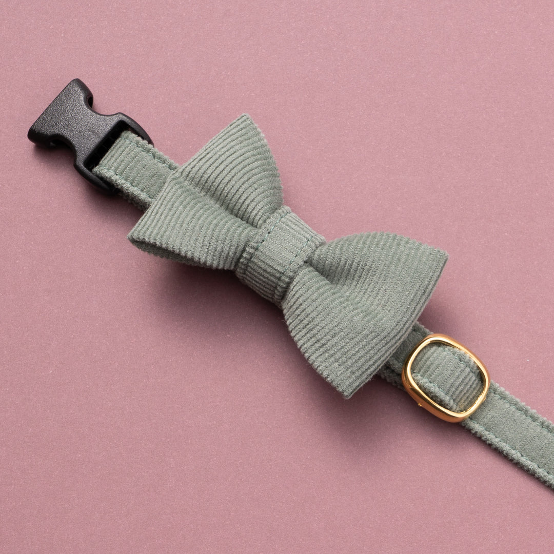 リボン付き猫首輪 コットンコーデュロイ グリーン