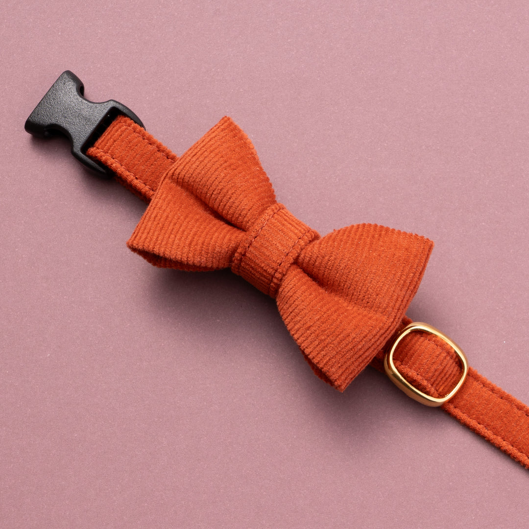リボン付き猫首輪 コットンコーデュロイ オレンジ