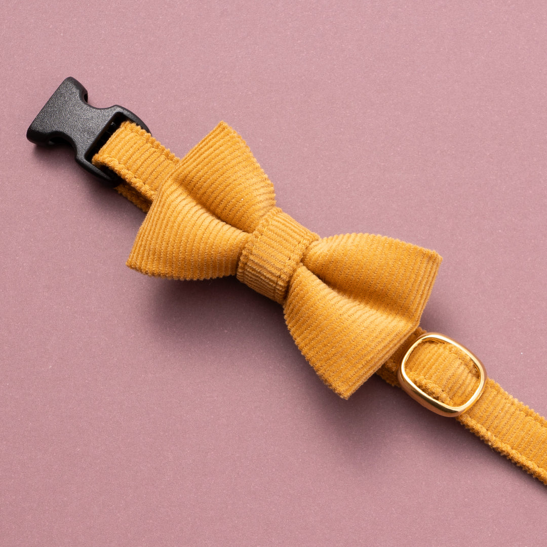 リボン付き猫首輪 コットンコーデュロイ イエロー