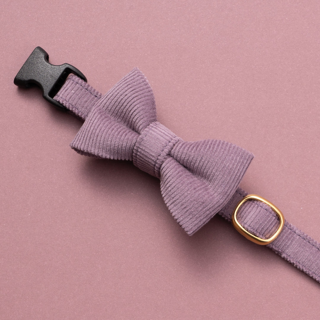 リボン付き猫首輪 コットンコーデュロイ パープル