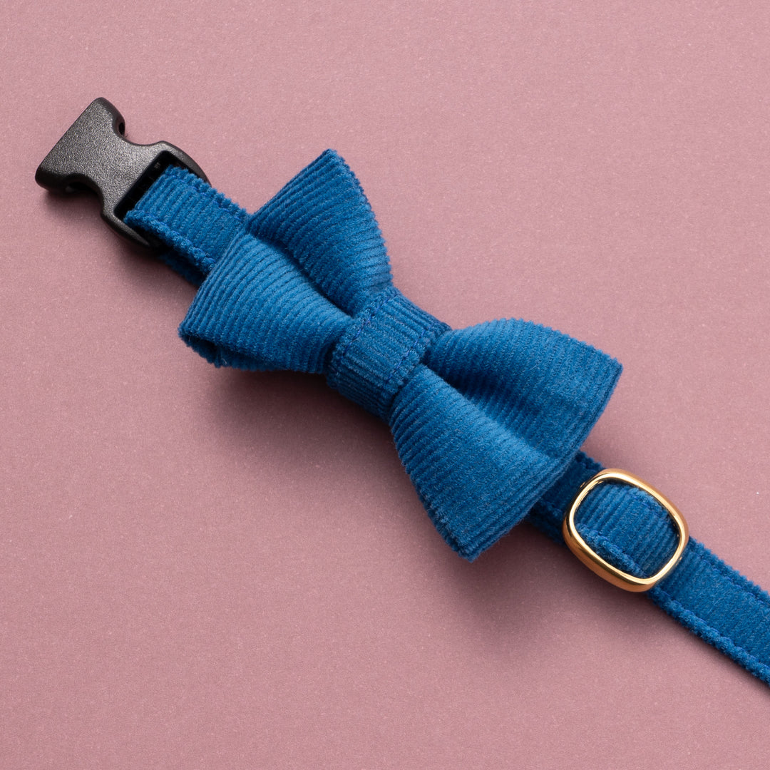 リボン付き猫首輪 コットンコーデュロイ ブルー