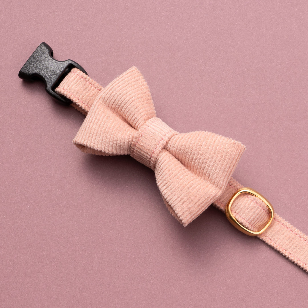 リボン付き猫首輪 コットンコーデュロイ ピンク