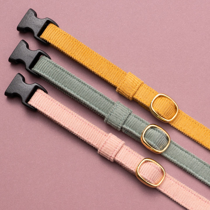 猫首輪 コットンコーデュロイ イエロー