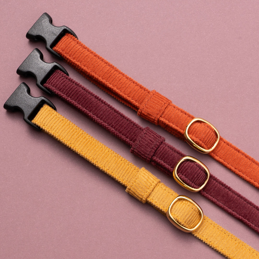 猫首輪 コットンコーデュロイ イエロー