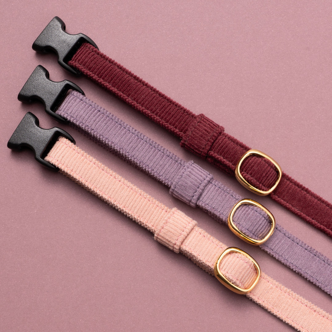 猫首輪 コットンコーデュロイ パープル