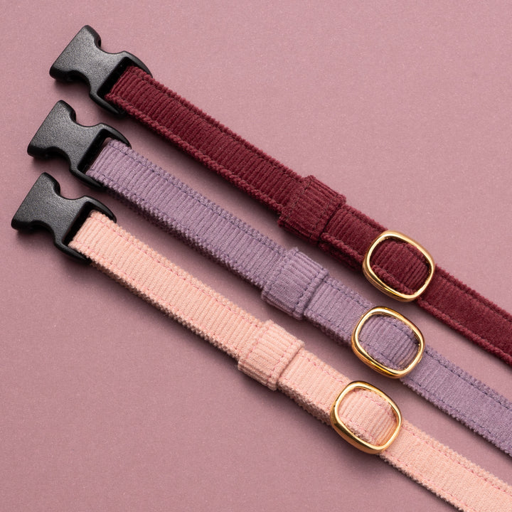 猫首輪 コットンコーデュロイ パープル