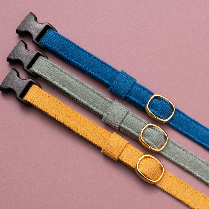 猫首輪 コットンコーデュロイ ブルー