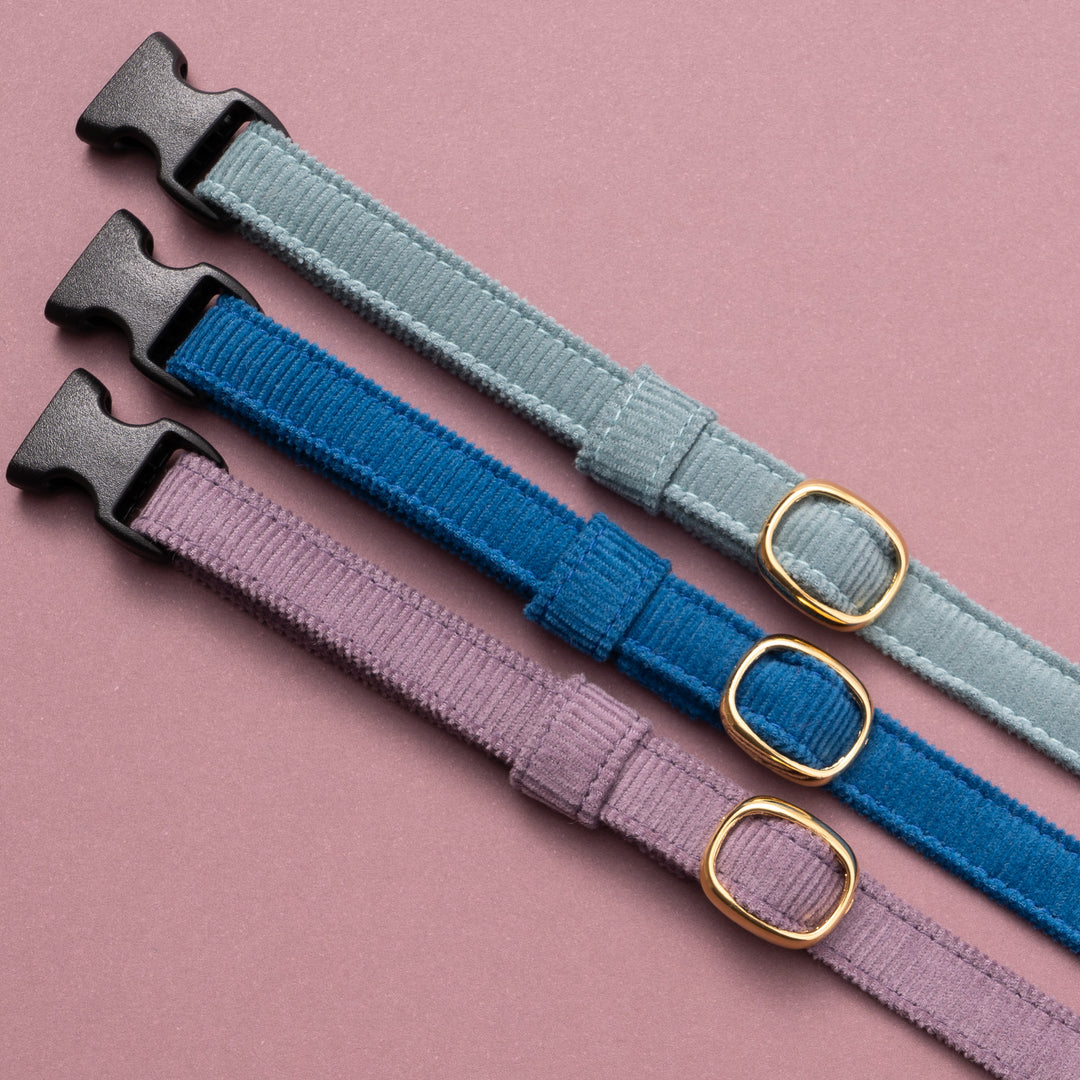 猫首輪 コットンコーデュロイ パープル