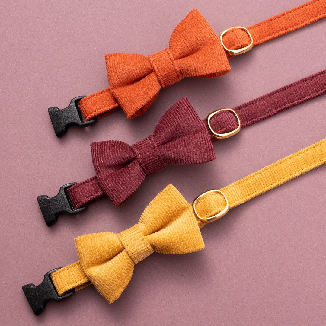 リボン付き猫首輪 コットンコーデュロイ イエロー