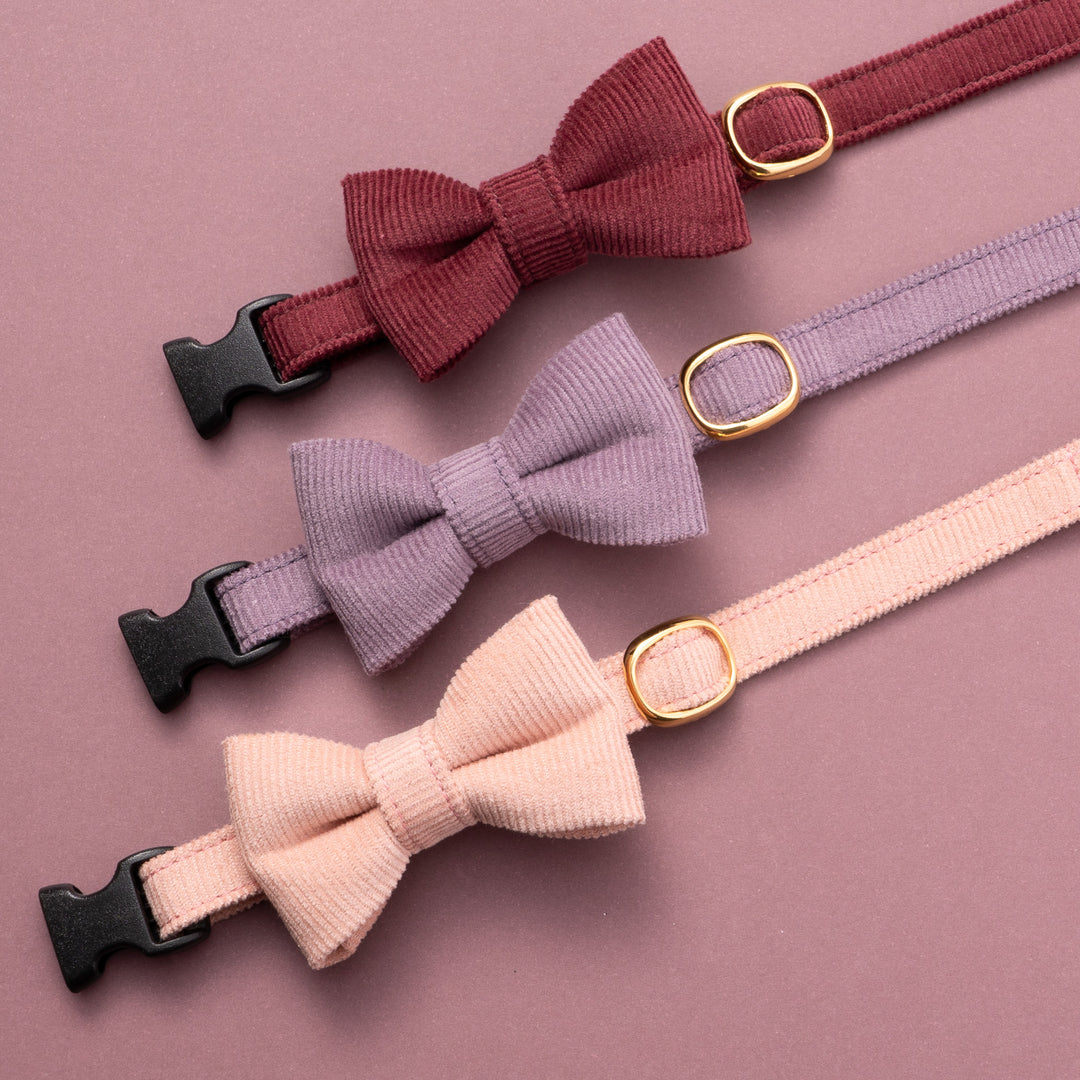 リボン付き猫首輪 コットンコーデュロイ ボルドー