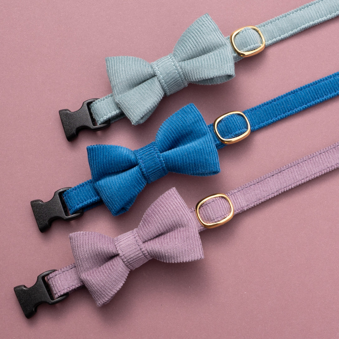 リボン付き猫首輪 コットンコーデュロイ ブルー