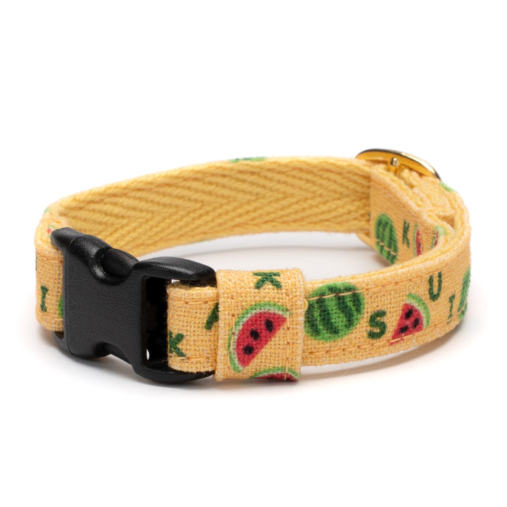 グラフィック猫首輪 夏のフルーツ スイカ【限定モデル】