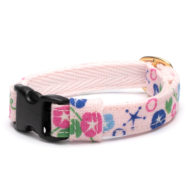 グラフィック猫首輪 夏の花柄 あさがお【限定モデル】