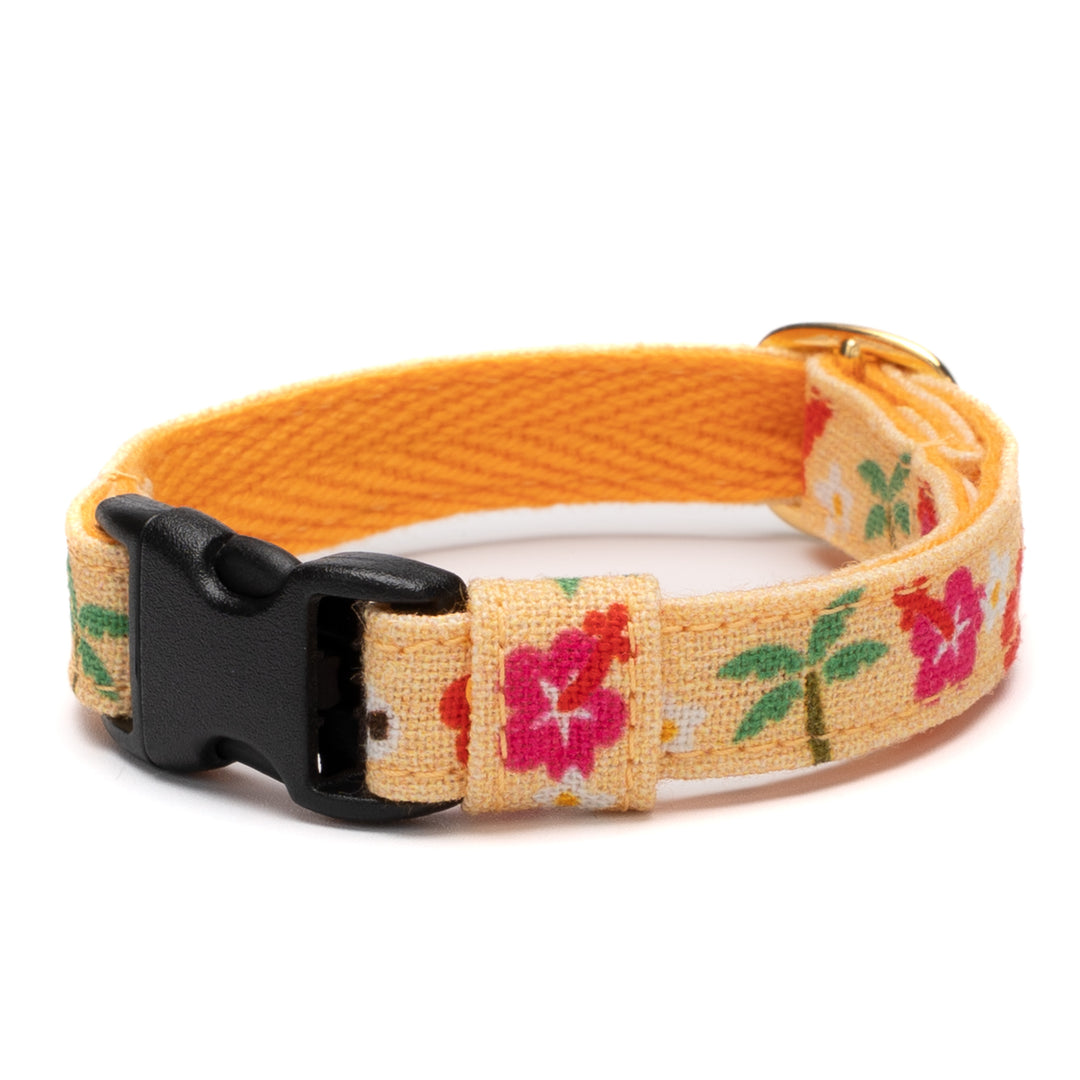 グラフィック猫首輪 夏の花柄 ハイビスカス【限定モデル】