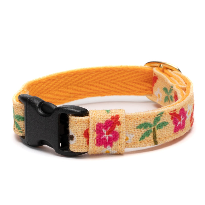 グラフィック猫首輪 夏の花柄 ハイビスカス【限定モデル】