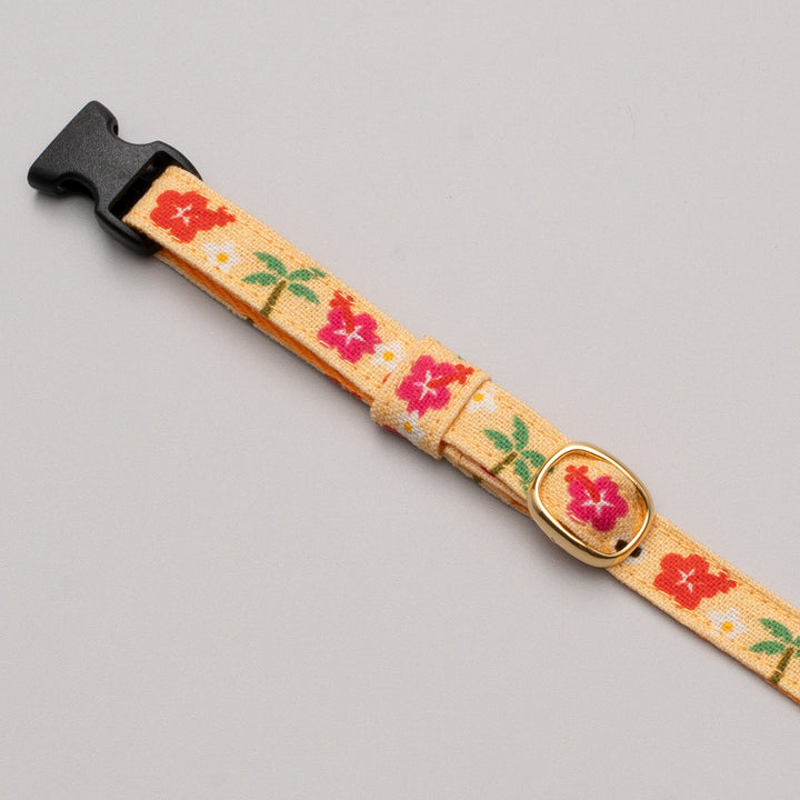 グラフィック猫首輪 夏の花柄 ハイビスカス【限定モデル】