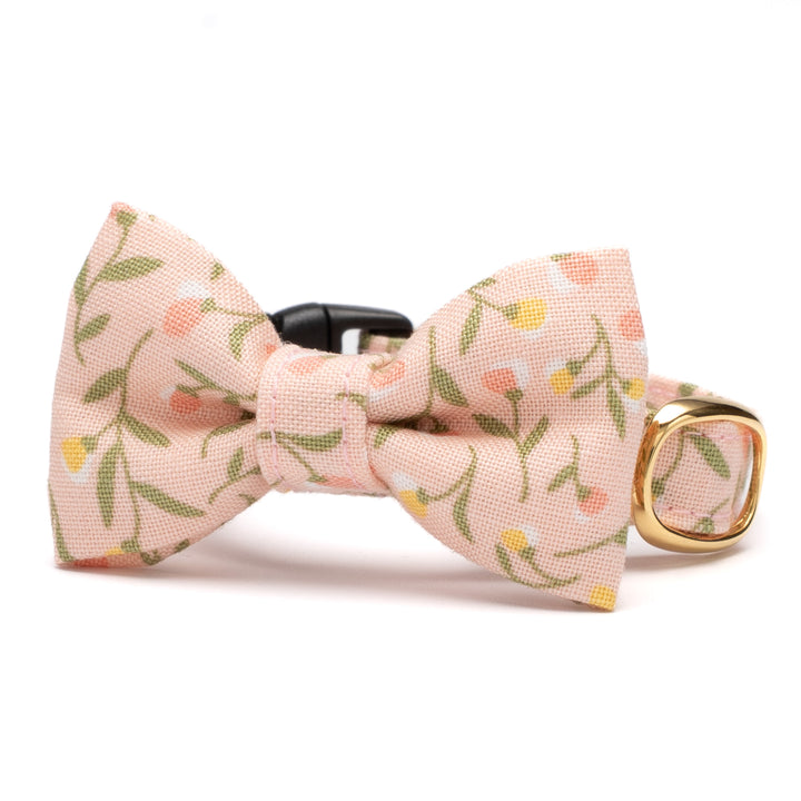 リボン付き猫首輪 moda フラワーガール ピンク【限定モデル】