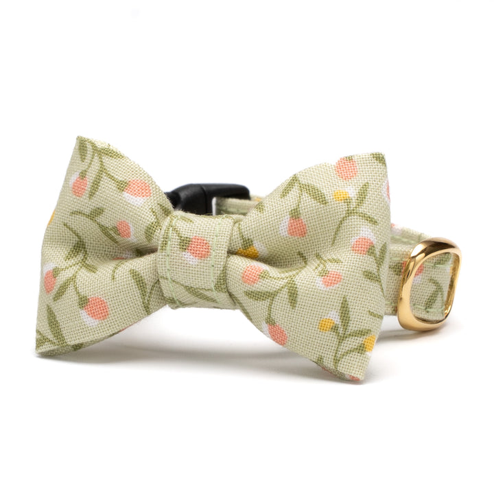 リボン付き猫首輪 moda フラワーガール グリーン【限定モデル】