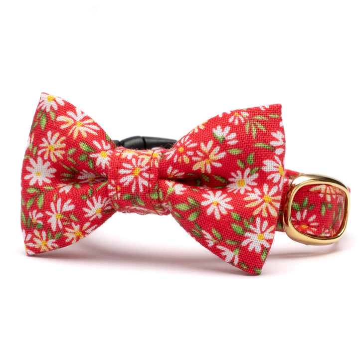 リボン付き猫首輪 moda ワイルドフラワーズ レッド【限定モデル】