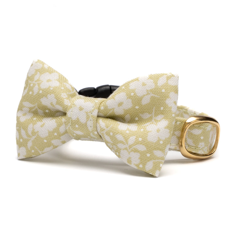 リボン付き猫首輪 moda デインティーメドー モノグリーン【限定モデル】